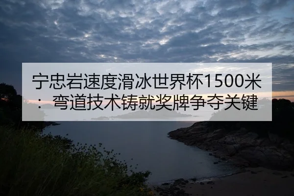 宁忠岩速度滑冰世界杯1500米：弯道技术铸就奖牌争夺关键