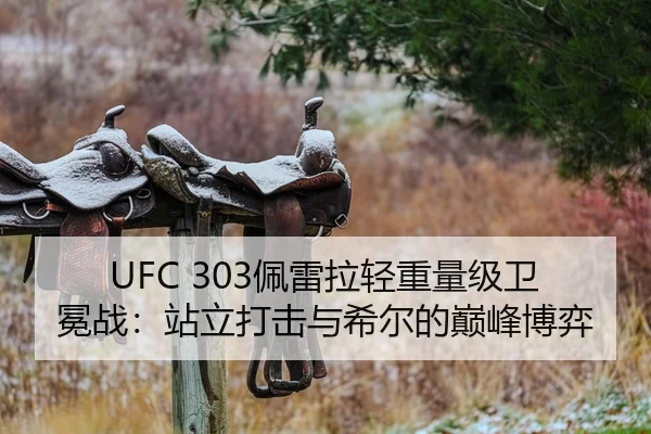 UFC 303佩雷拉轻重量级卫冕战：站立打击与希尔的巅峰博弈