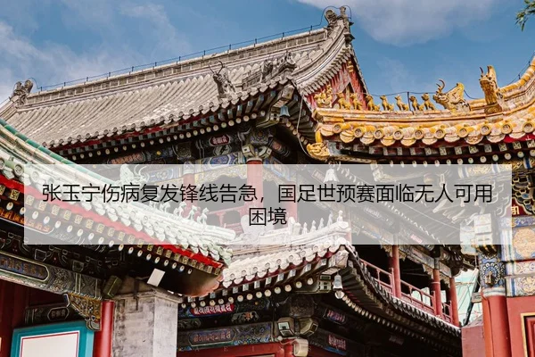 zhang-yu-ning-shang-bing-fu-fa-feng-xian-gao-ji-guo-zu-shi-yu-sai-mian-lin-wu-ren-ke-yong-kun-jing-2-445.jpg