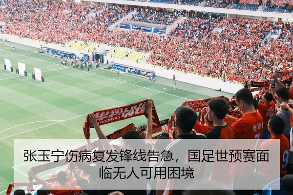 张玉宁伤病复发锋线告急，国足世预赛面临无人可用困境