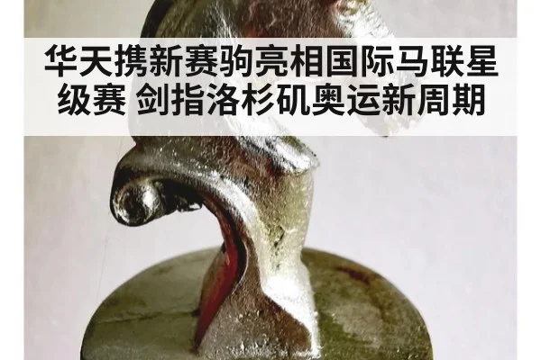 华天携新赛驹亮相国际马联星级赛 剑指洛杉矶奥运新周期