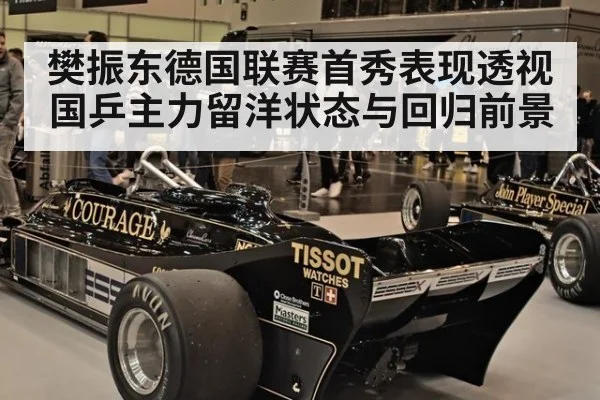樊振东德国联赛首秀表现透视国乒主力留洋状态与回归前景